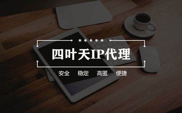 【保山代理IP】如何快速搭建代理IP？怎么检查代理的效果？